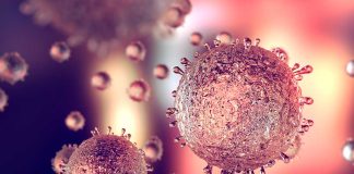 CDC Urging Precautions Over Speading Of New Parovirus