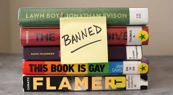 Hidden Perspectives: Students' Thoughts on the Book Ban Movement