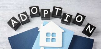 Accreditation Loss Shakes Adoption Agency: Examining Fallout for Adoptions International Inc.