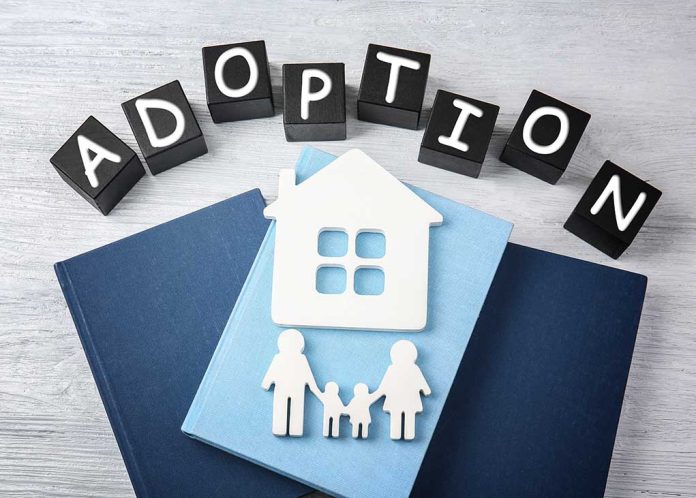 Accreditation Loss Shakes Adoption Agency: Examining Fallout for Adoptions International Inc.