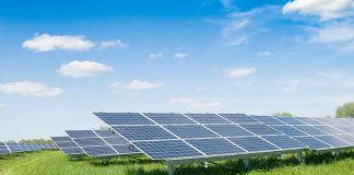 solar panels in a field