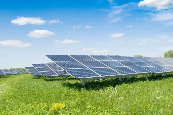 solar panels in a field