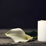 white candle with a white flower laying next to it