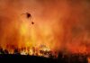 Helicopter fighting massive forest fire with water bucket.