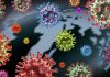 Colorful viruses on map background illustration.