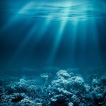 Sunlight beams through underwater coral reef scene.