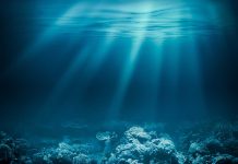 Sunlight beams through underwater coral reef scene.