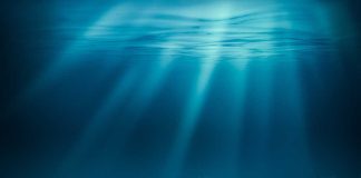 Sunlight beams through underwater coral reef scene.