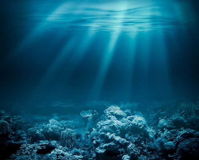 Sunlight beams through underwater coral reef scene.