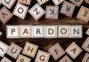 pile of letter tiles arranged to read the word "pardon"