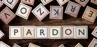 pile of letter tiles arranged to read the word "pardon"