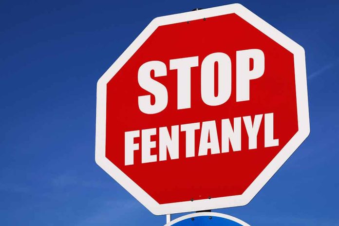 Stop sign saying "Stop Fentanyl" against sky.