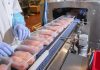 Packaged chicken breasts on a factory conveyor belt.