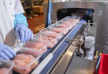 Packaged chicken breasts on a factory conveyor belt.