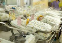 Newborn babies in a hospital nursery.