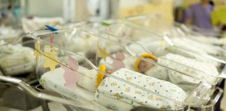 Newborn babies in a hospital nursery.