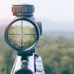 Rifle scope aiming at a distant tree