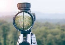 Rifle scope aiming at a distant tree