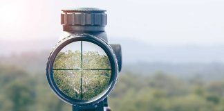 Rifle scope aiming at a distant tree
