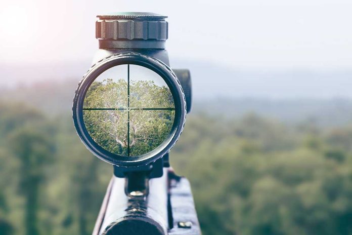 1225045114 featured image Rifle scope aiming at a distant tree