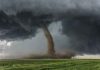 Tornado touching down in a grassy field.