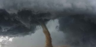 Tornado touching down in a grassy field.