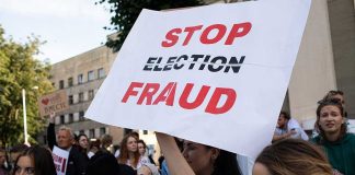 People holding Stop Election Fraud protest signs