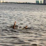 Person hand reaching out from the water
