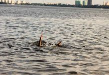 Person hand reaching out from the water