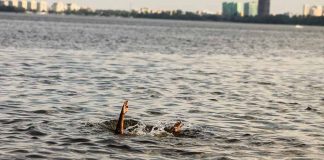 Person hand reaching out from the water
