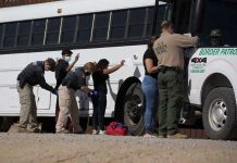 Border patrol officers investigating people near a bus