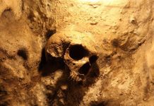 A skull embedded in a rocky surface, illuminated with warm lighting