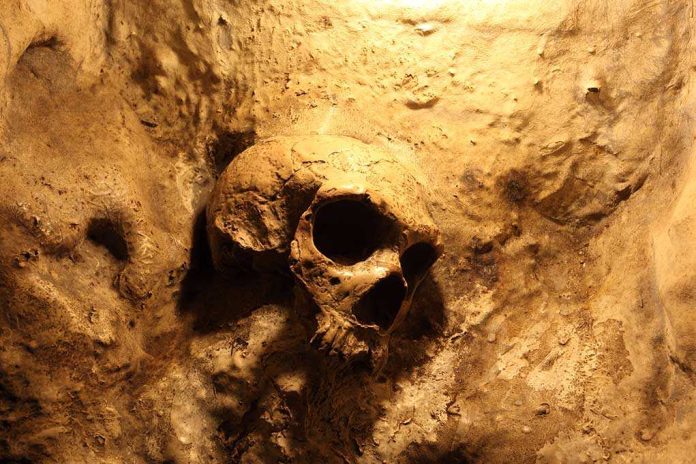 shutterstock_110826866.jpg A skull embedded in a rocky surface, illuminated with warm lighting
