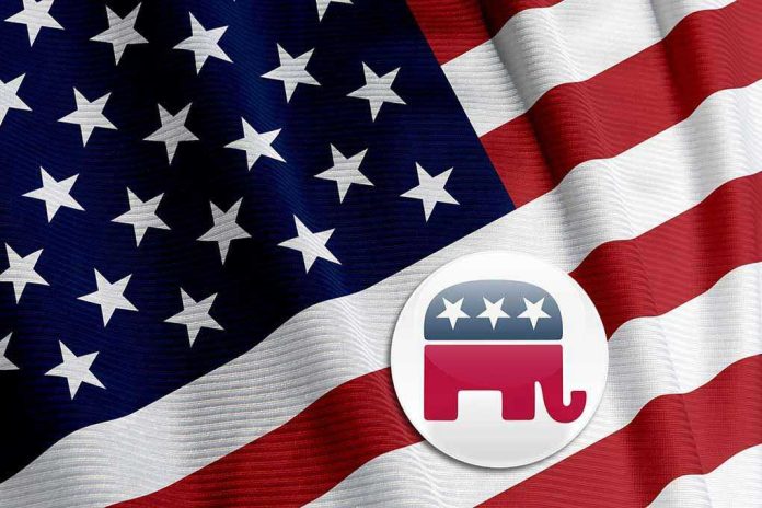 10885669 American flag with Republican elephant symbol.