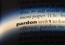 Trump Pardons Billionaire Bro — Nation Stunned The word pardon highlighted in a dictionary.