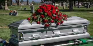 Beloved TV Actress KILLED – Horrific Street Accident! Silver casket with red roses in a cemetery.