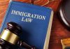 Immigration Bribery Bombshell: Judges CAUGHT! Blue immigration law book with wooden gavel.