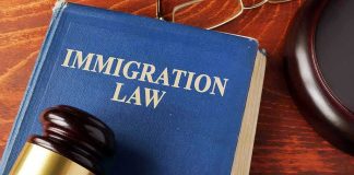 Immigration Bribery Bombshell: Judges CAUGHT! Blue immigration law book with wooden gavel.