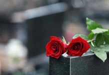 Oscar Winner’s Daughter DEAD — Tragic Cause REVEALED Two red roses on a gravestone.