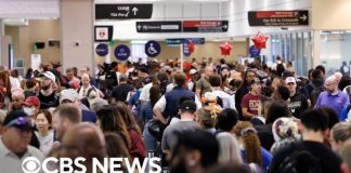 DHS Announce Travel Warning - Avoid ALL Airports