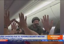 Emergency Landing - Terror Threat Strikes Airplane