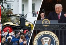 Golden Tractor Arrives - White House STUNNED