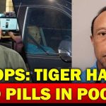 Police Find Drugs In Tigers Car During Search