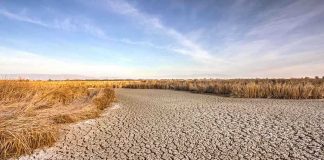 A dry, cracked landscape with sparse grass and a blue sky
