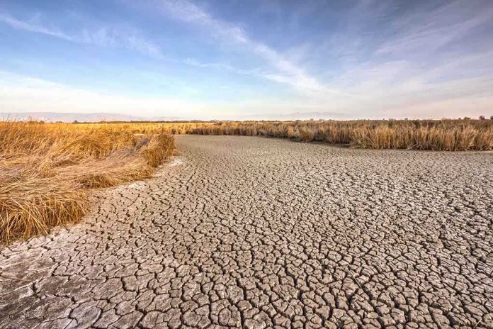 A dry, cracked landscape with sparse grass and a blue sky