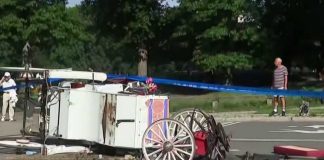Runaway Horse Triggers Full Ban Push Horse carriage tragedy in NYC’s Central Park