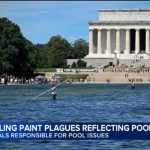 "They cut it:" Trump doubles down on Reflecting Pool vandalism claims