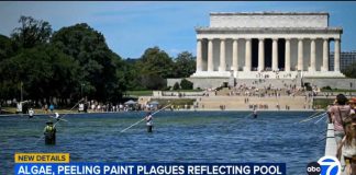 "They cut it:" Trump doubles down on Reflecting Pool vandalism claims