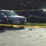 Family targeted in southwestern Illinois mass shooting; 5 dead, 2 wounded