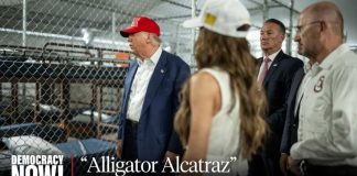 Predators Patrol Palestinian Cells Where Are The Detainees? Hundreds of "Alligator Alcatraz" Prisoners Disappear from ICE Database